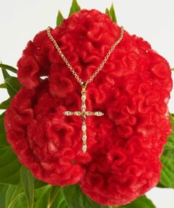 Xowear.shop00490ab85e 1