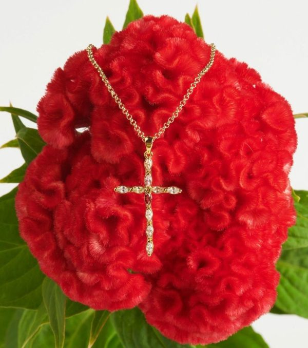 Xowear.shop00490ab85e 1