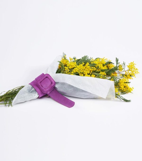 Xowear.shop350902f965 2