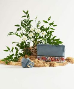 Xowear.shopd71a6e1fc4 2